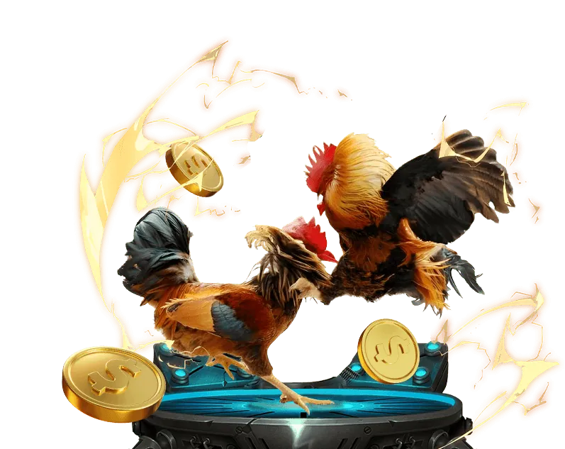 Mẹo cá cược đá gà SV88 hiệu quả